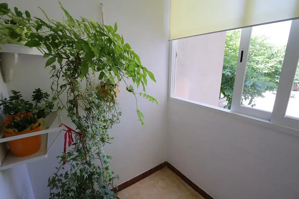 Apartment Navigare Zadar